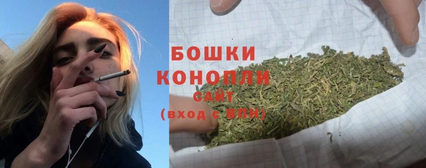 ГАЛЛЮЦИНОГЕННЫЕ ГРИБЫ Волоколамск