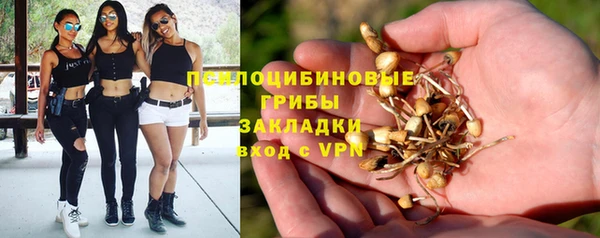 PSILOCYBIN Володарск